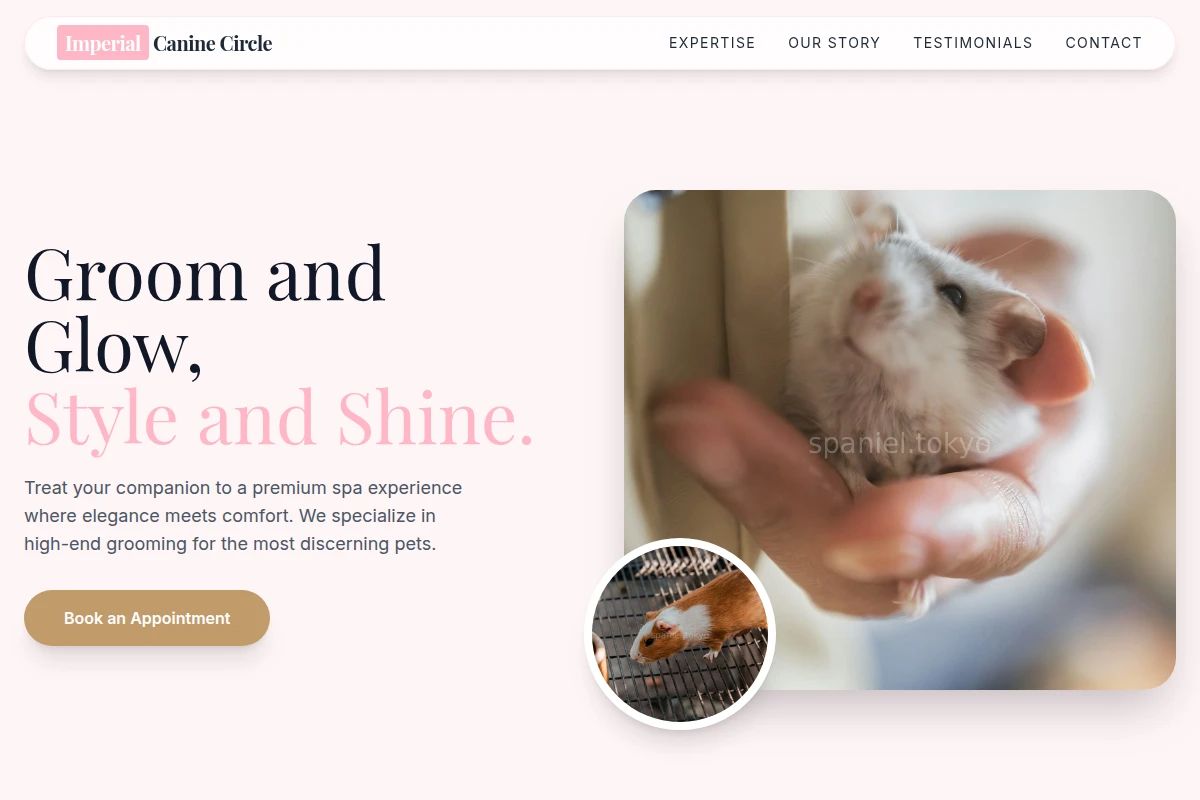 Paw Animal Care