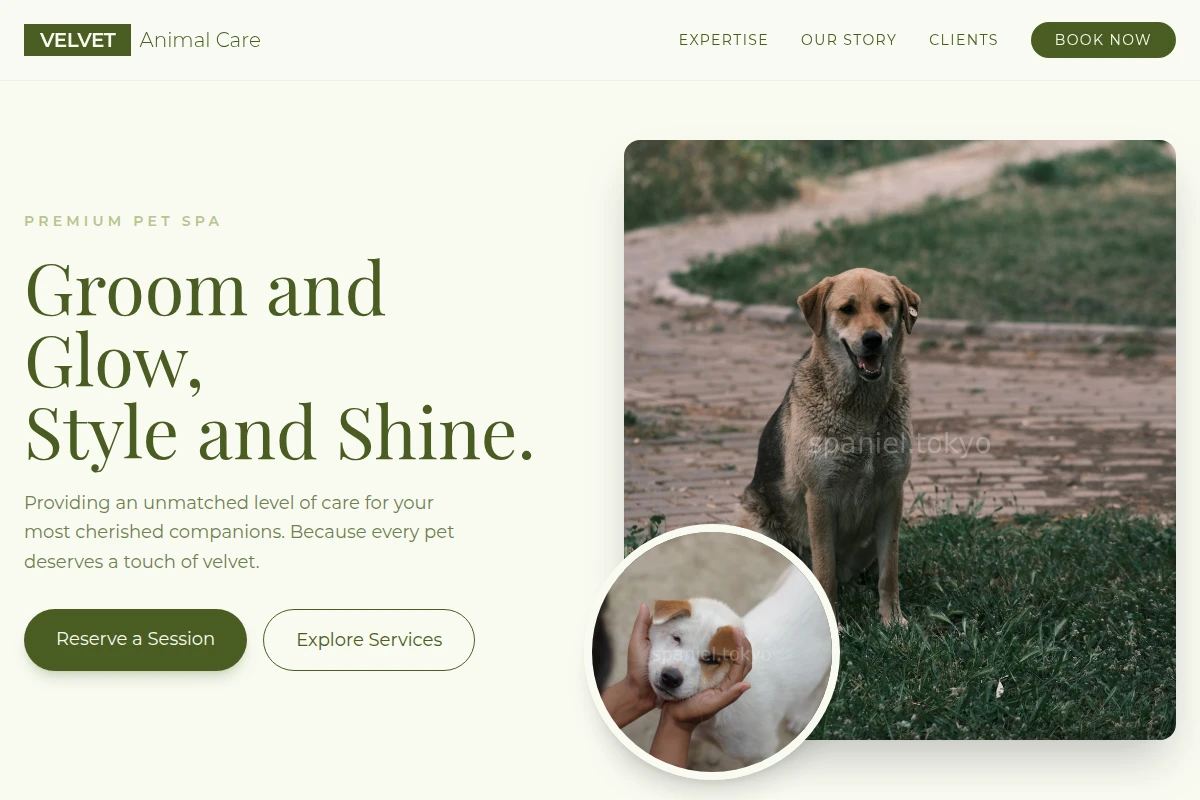 Velvet Animal Care