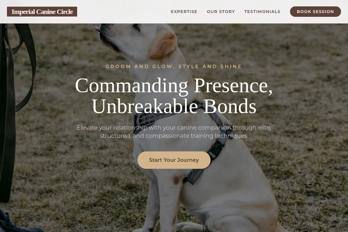 Leash Dog Training