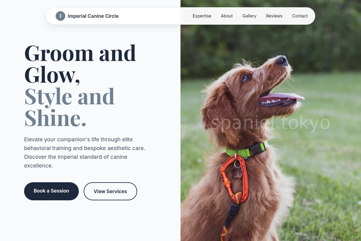 dog-training