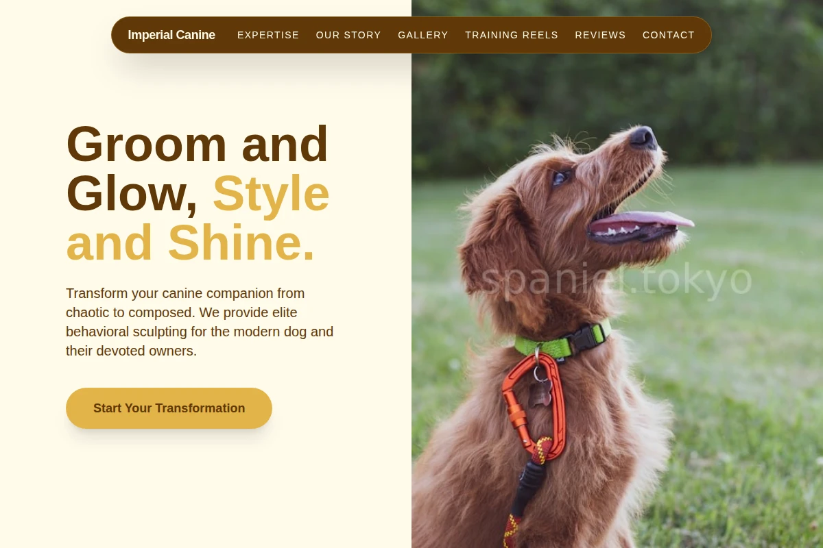 Play Dog Training
