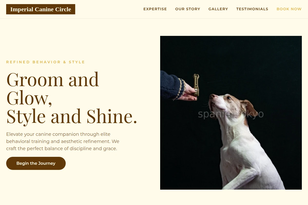 Collar Dog Training