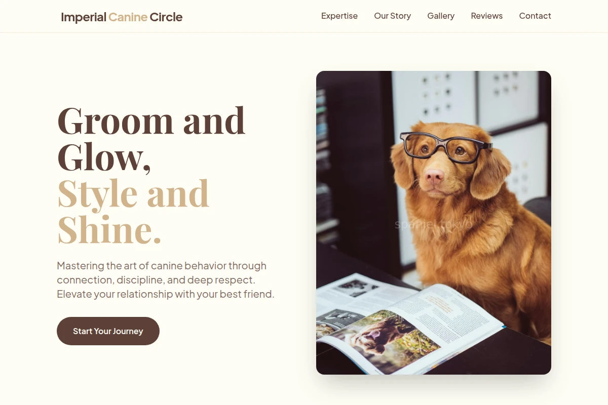 Brush Dog Training