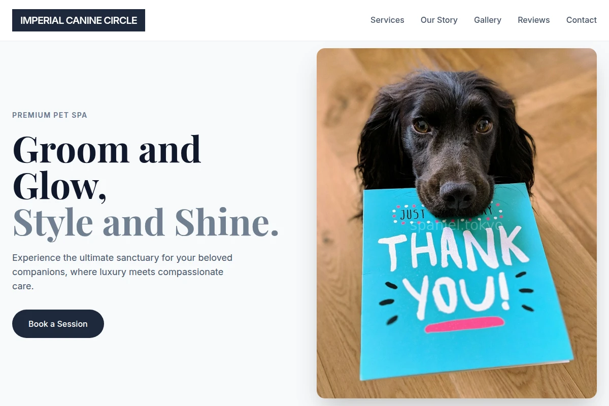 Shampoo Pet Grooming